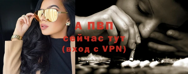 гашик Абаза