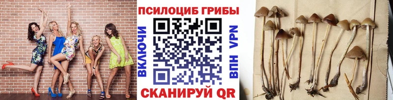 это как зайти  Челябинск  Галлюциногенные грибы GOLDEN TEACHER 